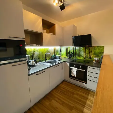 Casa de Férias Luxurioeses Ferienapartment A2 Mit Umzaeunten Garten, 55qm Amtsberg